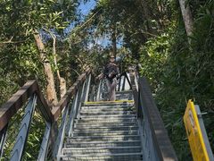 -海南热带雨林国家公园吊罗山景区