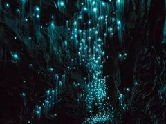 -怀托摩萤火虫洞