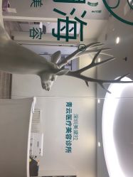 -时间海科学美容