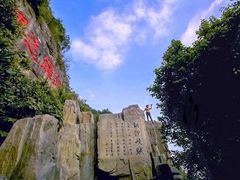 -铁山坪森林公园