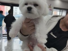 -宠颐生宠物医院·综合诊疗(先锋分院)