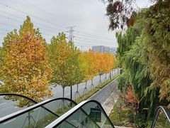 -杭州半山国家森林公园