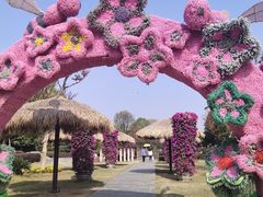 -武汉紫薇都市田园