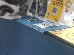 -谜盒子奇幻密室(南屏店)