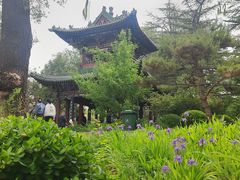 -迎泽公园