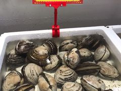 -蚝专家(北滘店)