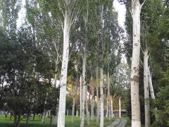 -北极寺公园
