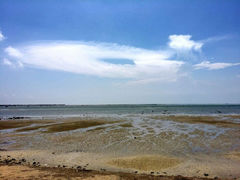 android_upload_pic-北海金海湾红树林生态旅游区