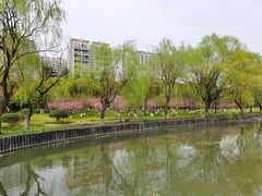 -中央公园(苏州工业园区)