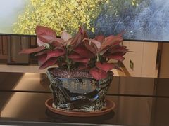 -品足轩足疗·按摩·SPA(朗晴店)