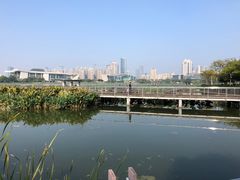 -月湖风景区