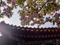 -长安寺