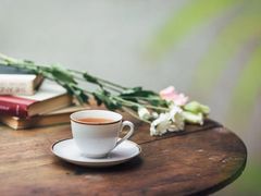 -王德传茶庄(苏州探花府店)