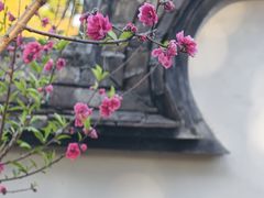 -乌山风景区