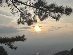 -庐山风景区花径公园