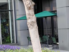 -星巴克(漕河泾2店)