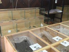 水产区-方林富炒货店(武林路店)