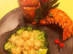 -鱼翅楼·津派砂锅鱼翅(水上公园店)