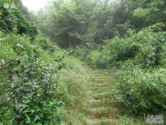 -会稽山峡洞漂流-上青古道