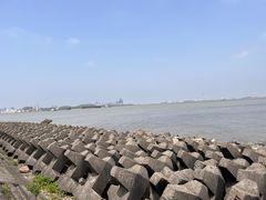 -上海滨江森林公园
