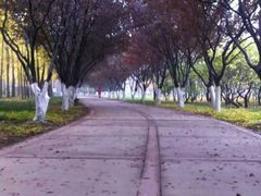 -石家庄市植物园