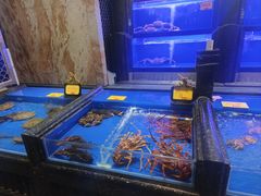 -万宝海鲜舫(劳动公园店)