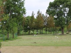 -嘉北郊野公园