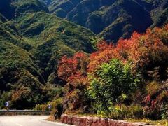-百里山水画廊