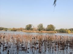 景点-南海子公园