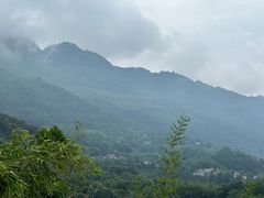 -缙云山景区