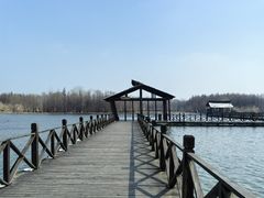 -溱湖国家湿地公园