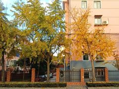 -半岛1919创意园区