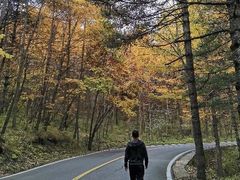 -洛阳白云山景区