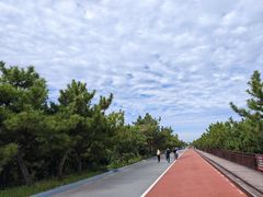-日照海滨国家森林公园