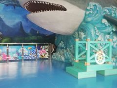 -多彩贵州城极地海洋世界