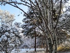 -长辛店二七公园