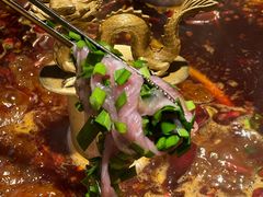 -小龙翻大江文化火锅(宽窄店)