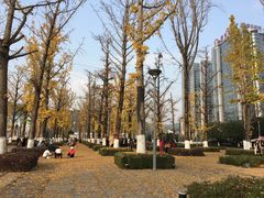 -百林公园-两江幸福广场