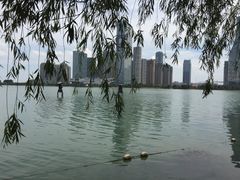 天鹅湖-天鹅湖体育公园