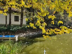 -叶家花园