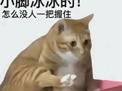 -耶里夏丽·丝路新疆菜·清真食品(徐汇南丹东路臻选店)