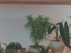 -桂满陇·手作小笼包&江南叫花鸡(中山公园店)