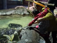 -南昌海洋公园