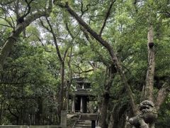 -蒋氏故居