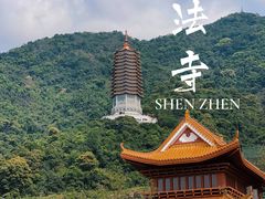 -深圳仙湖植物园