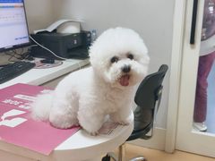 -全心全意动物诊疗中心医院(北苑店)