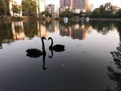 -安徽大学(龙河校区)
