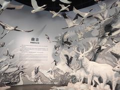 -中国湿地博物馆