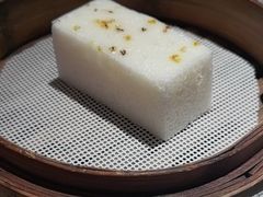 -南海渔村(珠江新城店)