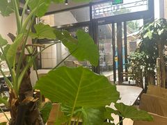 -2326 Coffee Roaster咖啡豆可选店(林肯公园店)